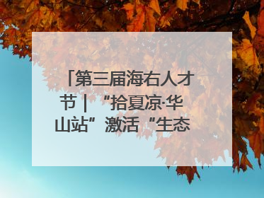 第三届海右人才节｜“拾夏凉·华山站”激活“生态聚才”强磁场
