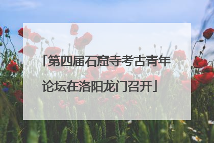 第四届石窟寺考古青年论坛在洛阳龙门召开