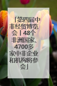 第四届中非经贸博览会丨48个非洲国家、4700多家中非企业和机构将参会