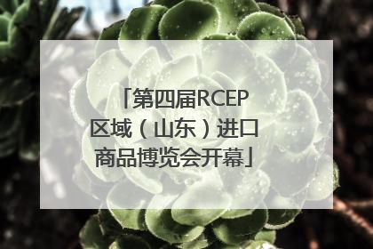 第四届RCEP区域（山东）进口商品博览会开幕