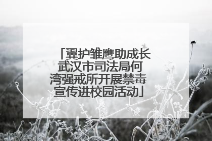 翼护雏鹰助成长 武汉市司法局何湾强戒所开展禁毒宣传进校园活动