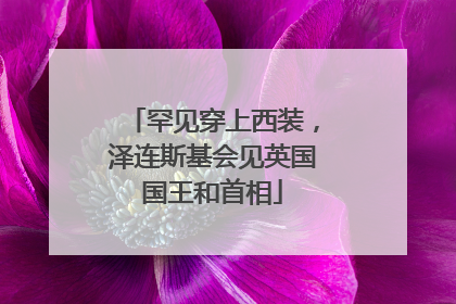 罕见穿上西装，泽连斯基会见英国国王和首相