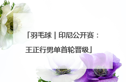 羽毛球｜印尼公开赛：王正行男单首轮晋级