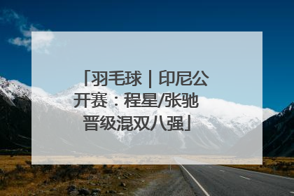 羽毛球｜印尼公开赛：程星/张驰晋级混双八强