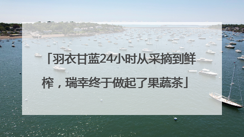 羽衣甘蓝24小时从采摘到鲜榨，瑞幸终于做起了果蔬茶