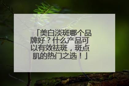 美白淡斑哪个品牌好？什么产品可以有效祛斑，斑点肌的热门之选！
