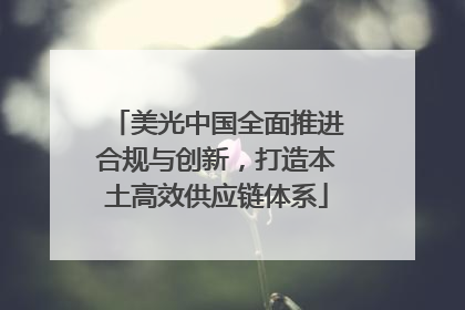 美光中国全面推进合规与创新，打造本土高效供应链体系