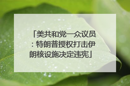 美共和党一众议员：特朗普授权打击伊朗核设施决定违宪