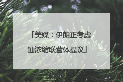 美媒：伊朗正考虑铀浓缩联营体提议