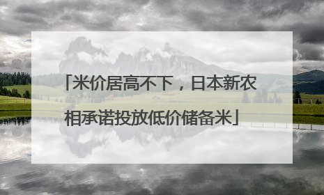 米价居高不下，日本新农相承诺投放低价储备米