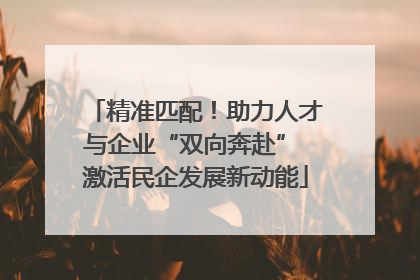 精准匹配！助力人才与企业“双向奔赴” 激活民企发展新动能