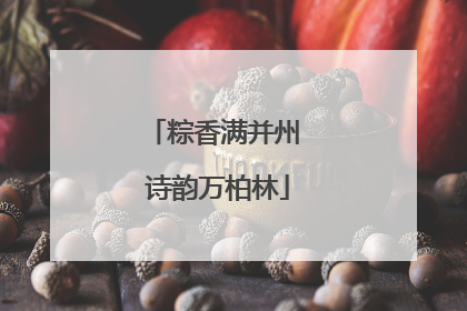 粽香满并州 诗韵万柏林