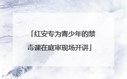 红安专为青少年的禁毒课在庭审现场开讲