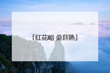 红花峪 桑葚熟