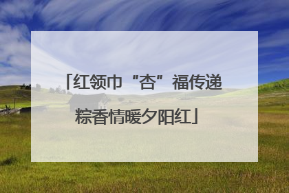 红领巾“杏”福传递 粽香情暖夕阳红