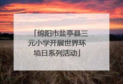 绵阳市盐亭县三元小学开展世界环境日系列活动