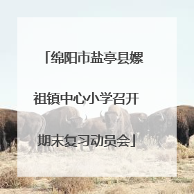 绵阳市盐亭县嫘祖镇中心小学召开期末复习动员会