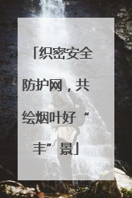 织密安全防护网，共绘烟叶好“丰”景