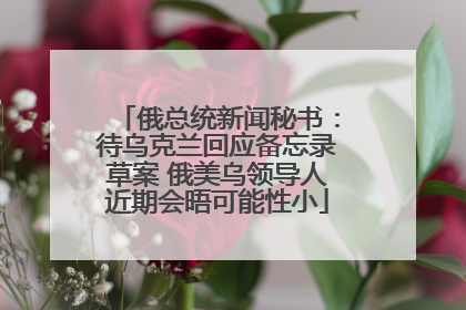 俄总统新闻秘书：待乌克兰回应备忘录草案 俄美乌领导人近期会晤可能性小