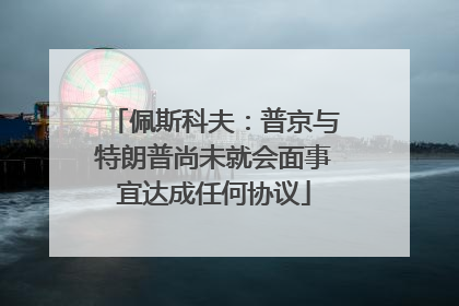 佩斯科夫：普京与特朗普尚未就会面事宜达成任何协议