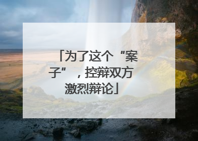 为了这个“案子”，控辩双方激烈辩论
