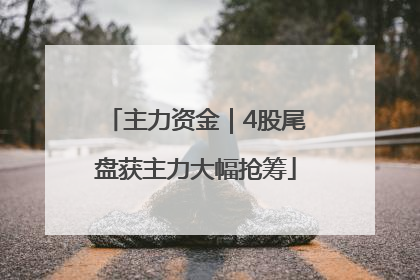 主力资金｜4股尾盘获主力大幅抢筹