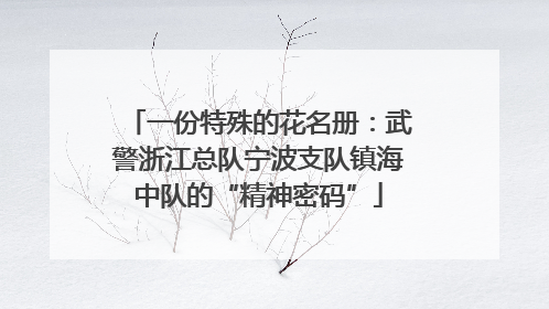 一份特殊的花名册：武警浙江总队宁波支队镇海中队的“精神密码”
