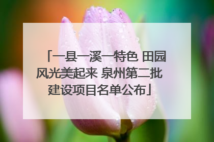 一县一溪一特色 田园风光美起来 泉州第二批建设项目名单公布