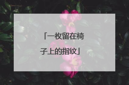 一枚留在椅子上的指纹