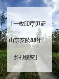 一枚印章见证山东安陵88年乡村蝶变