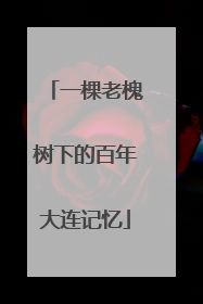 一棵老槐树下的百年大连记忆
