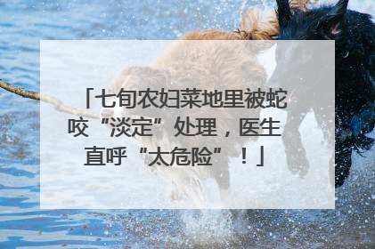 七旬农妇菜地里被蛇咬“淡定”处理，医生直呼“太危险”！
