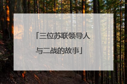 三位苏联领导人与二战的故事
