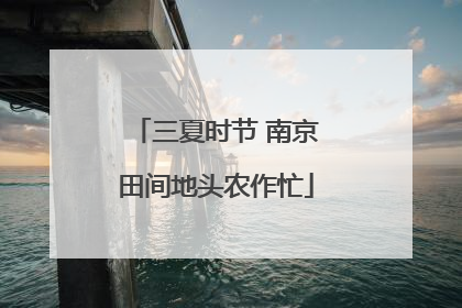 三夏时节 南京田间地头农作忙