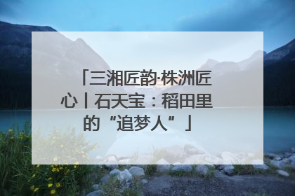 三湘匠韵·株洲匠心丨石天宝：稻田里的“追梦人”