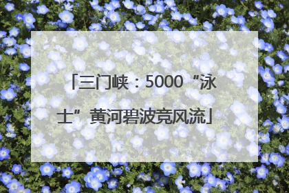 三门峡：5000“泳士”黄河碧波竞风流