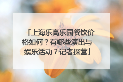 上海乐高乐园餐饮价格如何？有哪些演出与娱乐活动？记者探营