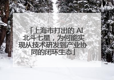 上海市打出的 AI 北斗七星，为何能实现从技术研发到产业协同的闭环生态