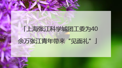 上海张江科学城团工委为40余万张江青年带来“见面礼”