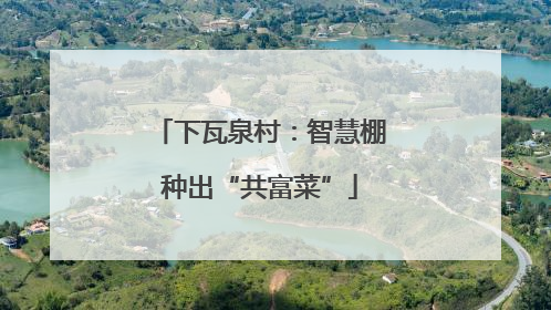 下瓦泉村：智慧棚种出“共富菜”
