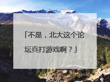 不是，北大这个论坛真打游戏啊？