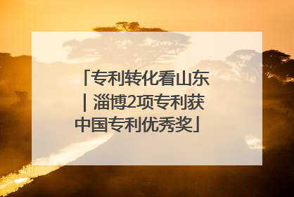 专利转化看山东｜淄博2项专利获中国专利优秀奖