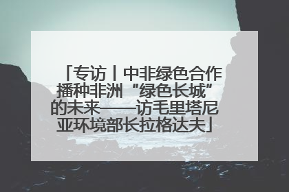 专访丨中非绿色合作播种非洲“绿色长城”的未来——访毛里塔尼亚环境部长拉格达夫