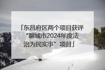 东昌府区两个项目获评“聊城市2024年度法治为民实事”项目