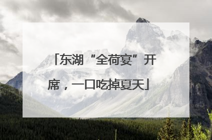 东湖“全荷宴”开席，一口吃掉夏天