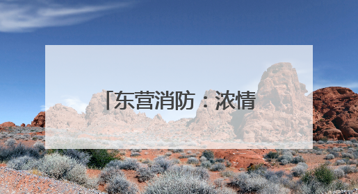 东营消防：浓情端午 粽叶飘香