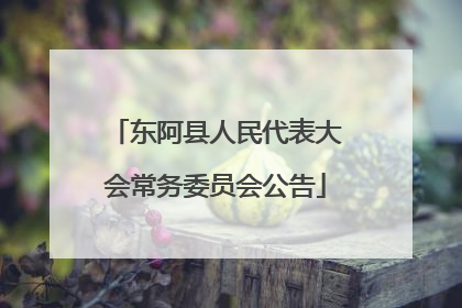 东阿县人民代表大会常务委员会公告