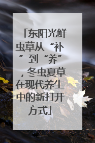 东阳光鲜虫草从“补”到“养”，冬虫夏草在现代养生中的新打开方式