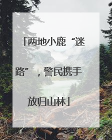 两地小鹿“迷路”，警民携手放归山林