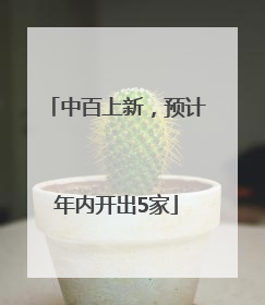 中百上新，预计年内开出5家